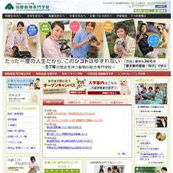 国際動物専門学校